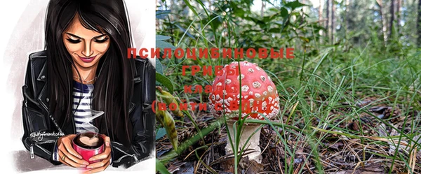эйфоретик Заволжье