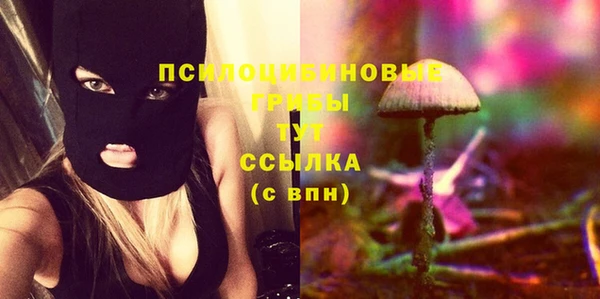 эйфоретик Заволжье